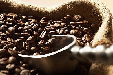 《原始袭变》多平台版本对比 XSX版微弱优势胜出